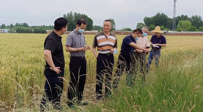 北京市農(nóng)業(yè)農(nóng)村局專家赴平谷指導農(nóng)業(yè)外來入侵物種普查工作