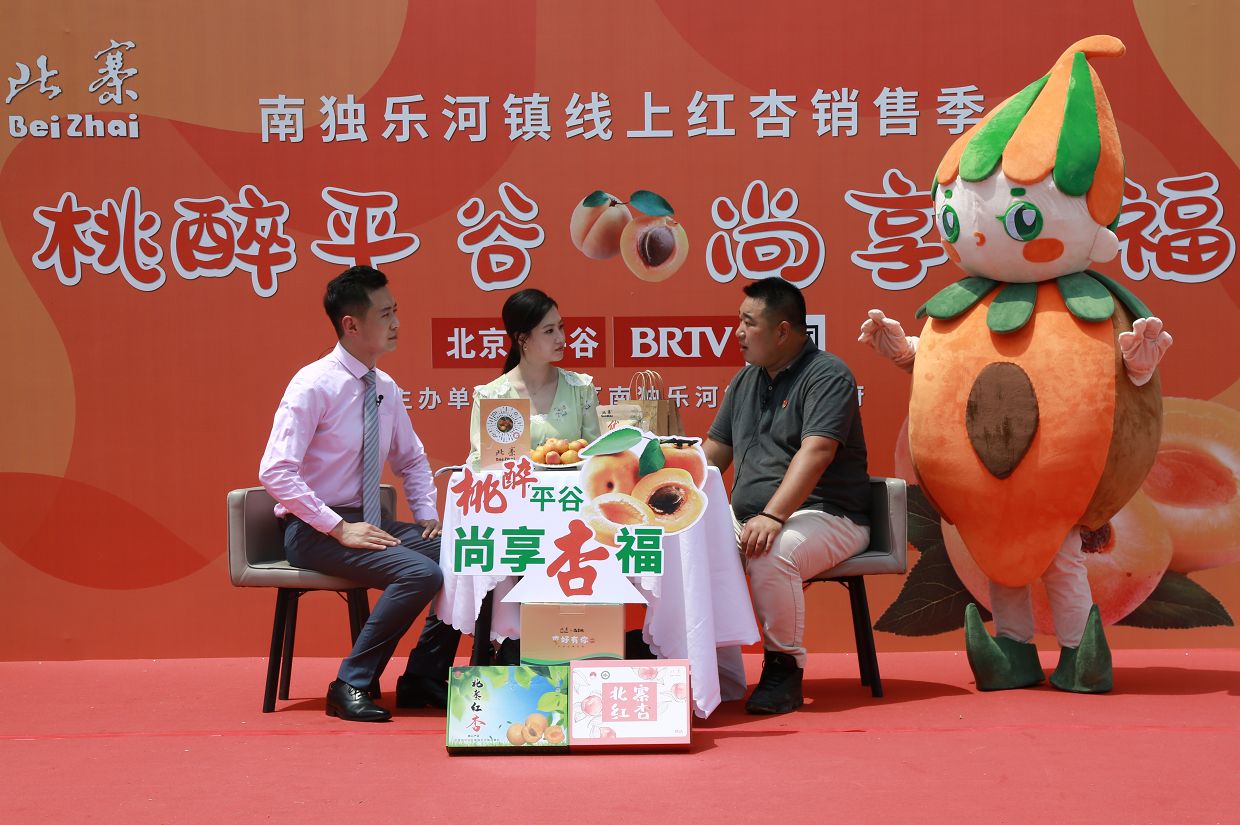 南獨樂河鎮(zhèn)第八屆休閑文化節(jié)暨線上紅杏銷售季在北寨村舉行