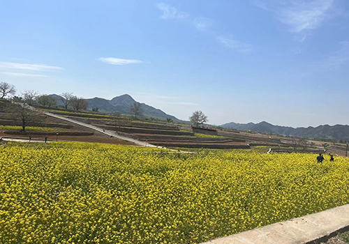 城鄉(xiāng)互融、月月有景——第十三屆北京農(nóng)田觀光季開季