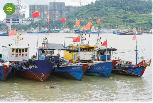 海上“千萬工程”讓漁民生活作業(yè)大變樣